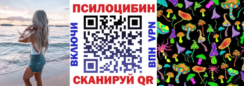 дарнет шоп Весьегонск Галлюциногенные грибы мицелий