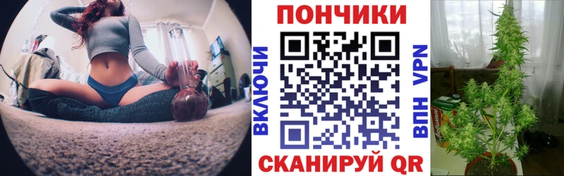Бошки Шишки MAZAR наркошоп ссылка на мегу сайт Весьегонск